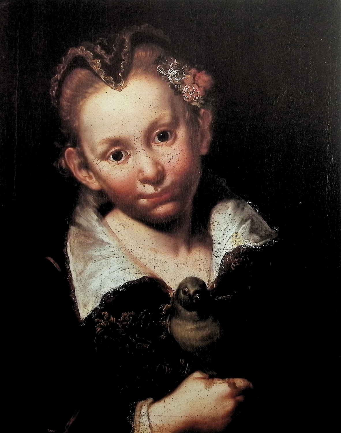 Giacomo Ceruti, il Pitocchetto - 377, Ritratto di bambina con papagallo